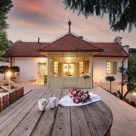 Vila Vilma Vineyard Cottage Lendava Buitenkant foto