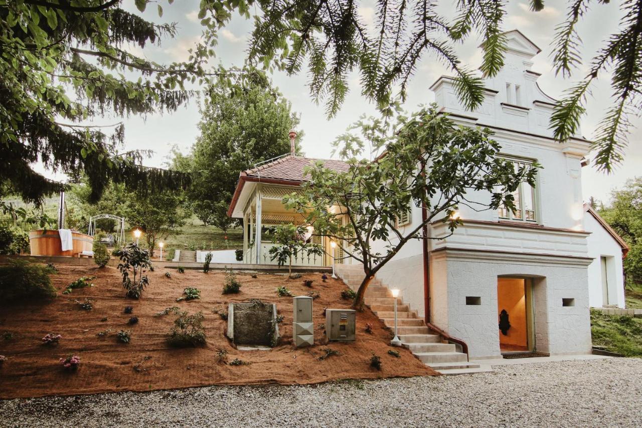 Vila Vilma Vineyard Cottage Lendava Buitenkant foto