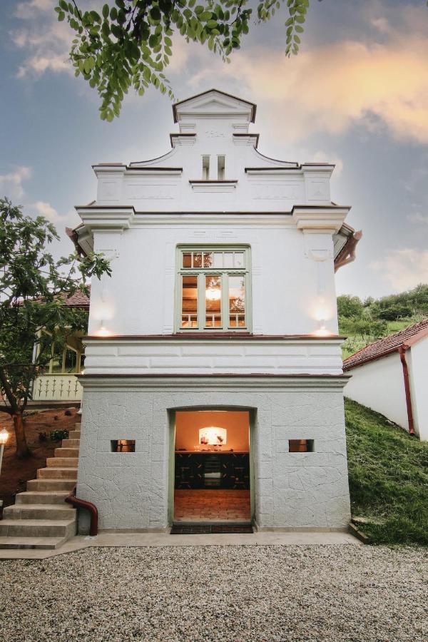 Vila Vilma Vineyard Cottage Lendava Buitenkant foto